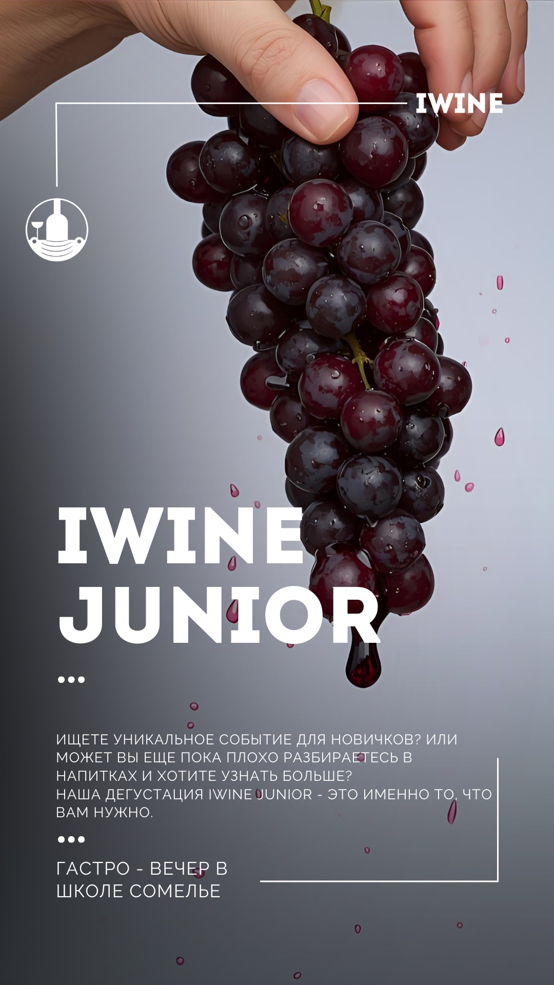 Дегустация для новичков - IWINE JUNIOR